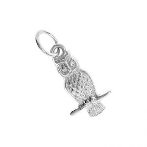 9ct White Gold Solid Owl Charm Cm00161