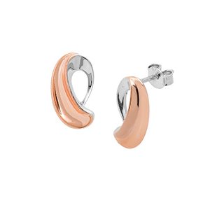 Real Silver & Vermeil Stud Earrings Ess00007