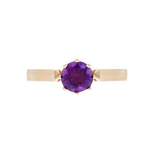9ct Yellow Gold Amethyst Ring R00083