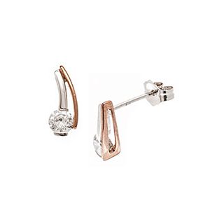 9ct Rose & White Gold Cubic Zirconia Stud Earrings Es00197