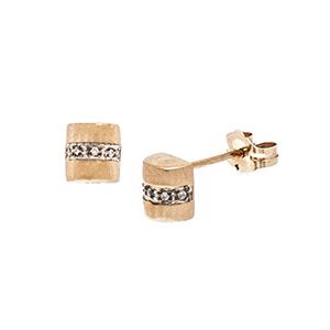 9ct Yellow Gold Diamond Stud Earrings Es00491