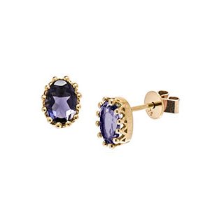 9ct Yellow Gold Oval Iolite Stud Earrings Es00161